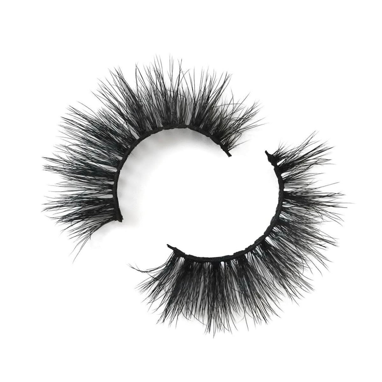 Eye Lashes