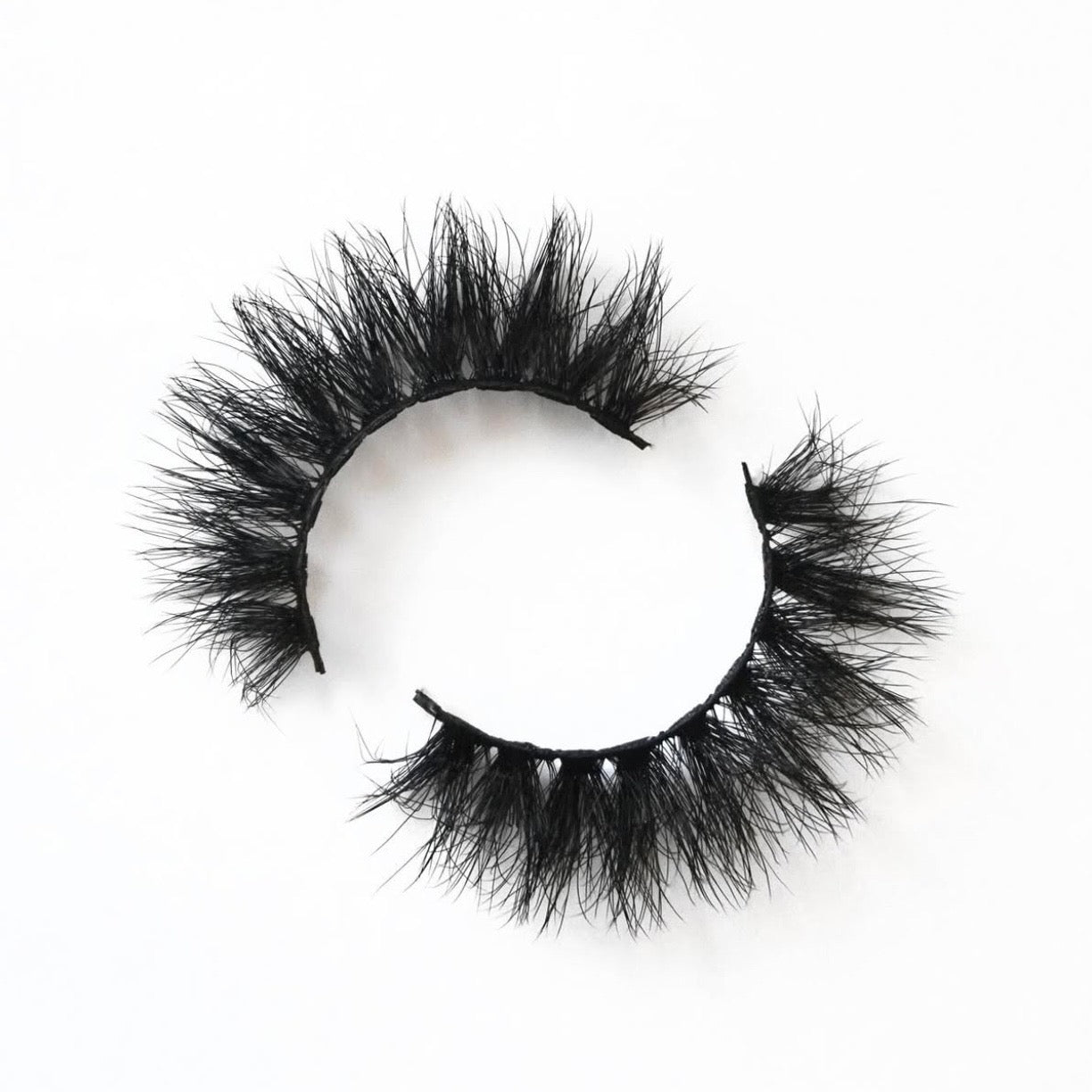Eye Lashes